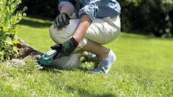 Кущоріз BOSCH ISIO, акумуляторний (0.600.833.109) | Фото 2