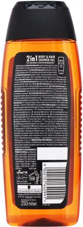 Купить гель и скраб для тела Гель для душу Fa Men Sport Cedarwood Dry 250мл (9000101640991) | Фото 2