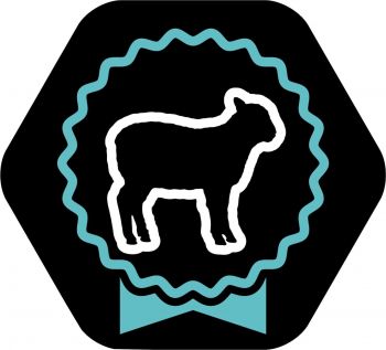 Сухий корм для собак середніх порід із чутл. травленням Purina Pro Plan Medium Sensitive ягня, 3 кг(7613035214798) Сухий корм для собак середніх порід із чутл. травленням Purina Pro Plan Medium Sensitive ягня, 3 кг(7613035214798) | Фото 10