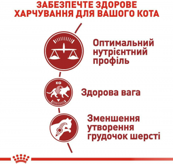 Сухий корм для домашніх та вуличних котів Royal Canin Fit 400г (3182550702157) | Фото 6