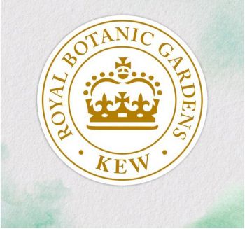 Купить бальзам и кондиционер для волос Бальзам-ополіскувач Herbal Essences Аромат кокосу 250мл | Фото 4