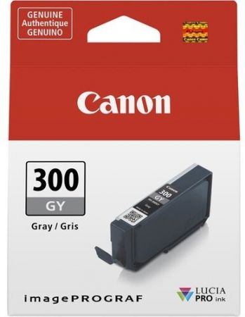Купить расходный материал для принтеров CANON PFI-300 GY (4200C001) | Фото 1
