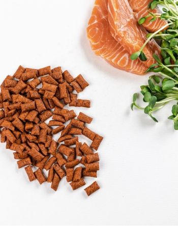 Ласощі для заохочення котів Savory Snack Salmon, подушечки з лососем, 60 г (4820232631454) | Фото 2