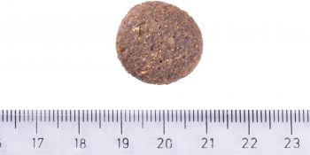 Корм для великих порід Brit Care Dog Hypoallergenic Adult Large Breed гіпоалергенний з ягням 3 кг (8595602559084) Корм для великих порід Brit Care Dog Hypoallergenic Adult Large Breed гіпоалергенний з ягням 3 кг (8595602559084) | Фото 4