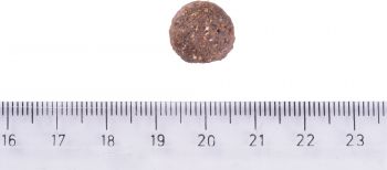 Brit Care Dog Hypoallergenic Adult Medium Breed гіпоалергенний з ягням 3 кг (8595602559022) Brit Care Dog Hypoallergenic Adult Medium Breed гіпоалергенний з ягням 3 кг (8595602559022) | Фото 3