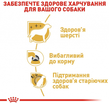 Сухий корм для собак породи Йоркширський-тер'єр Royal Canin Yorkshire Adult 1.5кг Сухий корм для собак породи Йоркширський-тер'єр Royal Canin Yorkshire Adult 1.5кг | Фото 6