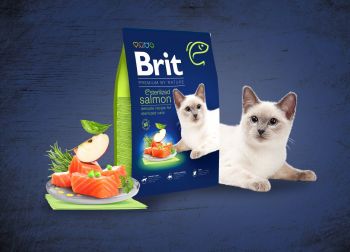 Сухий корм для стерилізованих котів Brit Premium by Nature Cat Sterilized Salmon з лососем 8 кг(8595602553259) Сухий корм для стерилізованих котів Brit Premium by Nature Cat Sterilized Salmon з лососем 8 кг(8595602553259) | Фото 3