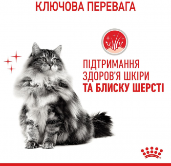 Вологий корм для котів Royal Canin Hair&Skin Care шматочки в желе 85г | Фото 6