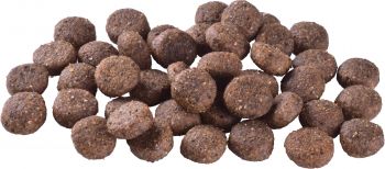 Сухий корм Brit Care Dog Grain-free Adult беззерновий з лососем 12 кг (8595602558834) Сухий корм Brit Care Dog Grain-free Adult беззерновий з лососем 12 кг (8595602558834) | Фото 9