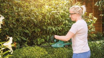 Купить кусторез Кущоріз акумуляторний Bosch EasyHedgeCut 18-45 без АКБ та ЗП (0.600.849.H03) | Фото 6