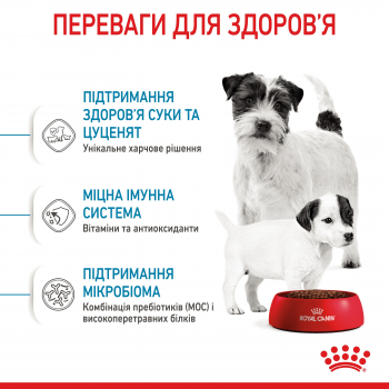 Сухий корм Royal Canin Mini Starter Mother & BabyDog дрібних порід  у період вагітності та лактації | Фото 6