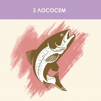 Purina Cat Chow Sensitive з чутливою шкірою та травленням з лососем 1.5 кг (7613035394131) | Фото 3