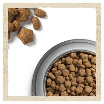 Dog Chow Active Adult p куркою, 2.5 кг (7613034487858) Dog Chow Active Adult p куркою, 2.5 кг (7613034487858) | Фото 2