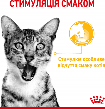 Вологий корм для котів Royal Canin Sensory Taste Jelly 85г | Фото 7