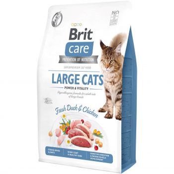 Сухий корм для кішок великих порід Brit Care Cat GF Large cats Power & Vitality з качкою та куркою (8595602540914) | Фото 1