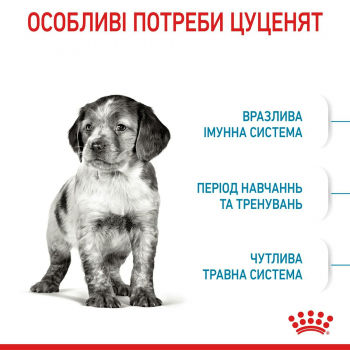 Сухий корм для цуценят Royal Canin Medium Puppy середніх порід собак 15кг Сухий корм для цуценят Royal Canin Medium Puppy середніх порід собак 15кг | Фото 8