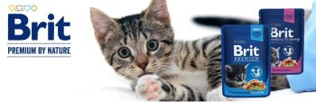 Brit Premium pouch курка для кошенят, 100 г (8595602506026) Brit Premium pouch курка для кошенят, 100 г (8595602506026) | Фото 3