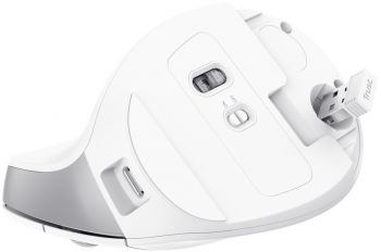 Миша TRUST Bayo II Ergonomic, WL, White (25398_TRUST) Купить мышь Миша TRUST Bayo II Ergonomic, WL, White (25398_TRUST) | Фото 2