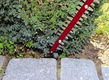 Купить кусторез Кусторіз EINHELL GC-EH 6055/1 (3403320) | Фото 4