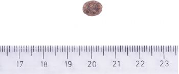 Корм для собак малих порід Brit Care Dog Sustainable Adult Small Breed з куркою та комахами 3кг | Фото 7