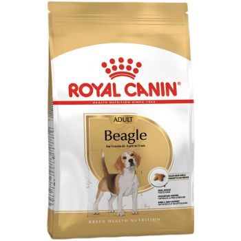 Сухий корм для собак породи Бігль Royal Canin Beagle Adult 3кг (3182550821766) Сухий корм для собак породи Бігль Royal Canin Beagle Adult 3кг (3182550821766) | Фото 6