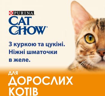 Purina Cat Chow ADULT З куркою та кабачками в желе, 85 г (7613036595049) Purina Cat Chow ADULT З куркою та кабачками в желе, 85 г (7613036595049) | Фото 3