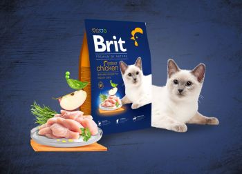 Сухий корм для котів, які мешкають у приміщенні Brit Premium by Nature Cat Indoor з куркою 0,8 кг (8595602553068) Сухий корм для котів, які мешкають у приміщенні Brit Premium by Nature Cat Indoor з куркою 0,8 кг (8595602553068) | Фото 7