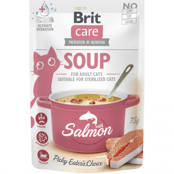 Вологий корм для котів Brit Care Суп з лососем 75г (8595602569212) | Фото 1