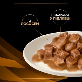 Вологий корм при хворобах нирок Purina Pro Plan Veterinary Diets NF Renal Function з лососем 10x85 г (7613287873699) Вологий корм при хворобах нирок Purina Pro Plan Veterinary Diets NF Renal Function з лососем 10x85 г (7613287873699) | Фото 8