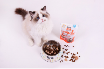 Ласощі для кішок Brit Care Raw Treat Indoor&Antistress з куркою 40г | Фото 6