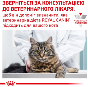Сухий корм для котів Royal Canin Diabetic при цукровому діабеті 1.5кг (3182550711166) Сухий корм для котів Royal Canin Diabetic при цукровому діабеті 1.5кг (3182550711166) | Фото 10