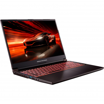 Купить ноутбук Ноутбук Dream Machines RG2050-17 (RG2050-17UA30) | Фото 1