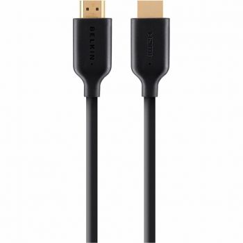 BELKIN (AM/AM) High Speed Ethernet 1m, 4K/Ultra HD, Gold-Plated (F3Y021BT1M) | Фото 1