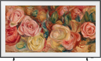 Телевізор SAMSUNG QLED The Frame 43LS03D (QE43LS03BAUXUA) | Фото 5