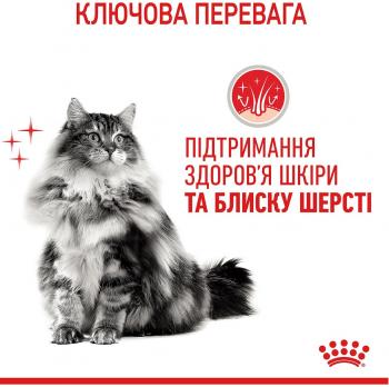 Сухий корм для котів Royal Canin Hair&Skin Care для підтримки здоров'я шкіри та блиску вовни 4кг (3182550721745) Сухий корм для котів Royal Canin Hair&Skin Care для підтримки здоров'я шкіри та блиску вовни 4кг (3182550721745) | Фото 4