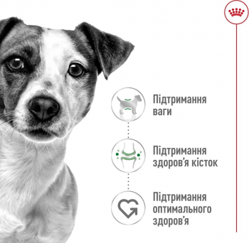 Сухий корм для собак Royal Canin Mini Adult дрібних порід 800г Сухий корм для собак Royal Canin Mini Adult дрібних порід 800г | Фото 2