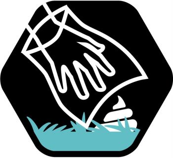 Сухий корм для собак середніх порід із чутл. травленням Purina Pro Plan Medium Sensitive ягня, 3 кг(7613035214798) Сухий корм для собак середніх порід із чутл. травленням Purina Pro Plan Medium Sensitive ягня, 3 кг(7613035214798) | Фото 9