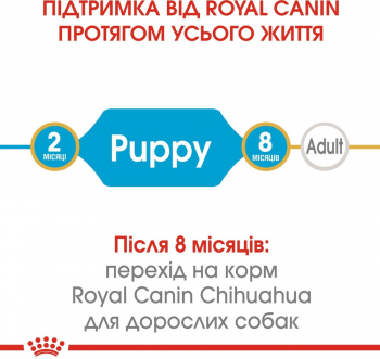 Сухий корм для цуценят породи Чихуахуа Royal Canin Chihuahua Puppy 0.5кг | Фото 4