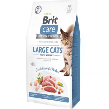 Сухий корм Brit Care для котів великих порід Power and Vitality 7кг (8595602540907) | Фото 1