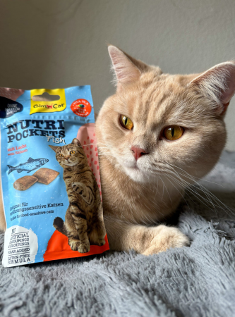 Ласощі для котів GimCat Nutri Pockets Fish Лосось 60г (4002064419626) Ласощі для котів GimCat Nutri Pockets Fish Лосось 60г (4002064419626) | Фото 6