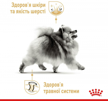 Сухий корм для собак породи Померанський шпіц Royal Canin Pomeranian Adult 1.5кг Сухий корм для собак породи Померанський шпіц Royal Canin Pomeranian Adult 1.5кг | Фото 6