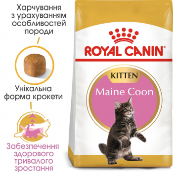 Сухий корм для кошенят породи Мейн-Кун Royal Canin Mainecoon Kitten 2кг (3182550816502) Сухий корм для кошенят породи Мейн-Кун Royal Canin Mainecoon Kitten 2кг (3182550816502) | Фото 8