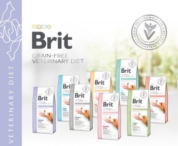 Brit VetDiets при харчовій алергії з лососем горохом і гречкою 2 кг(8595602528042) | Фото 2