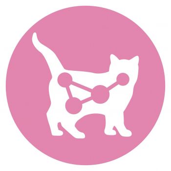 Вологий корм для кошенят Purina One з лососем та морквою в соусі 85 г(7613038224466) | Фото 3