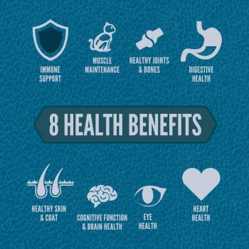 Сухий корм для кішок на всіх стадіях життя Orijen Guardian 8 з м`ясом риби та птиці 4,5 кг (o71893) Сухий корм для кішок на всіх стадіях життя Orijen Guardian 8 з м`ясом риби та птиці 4,5 кг (o71893) | Фото 3