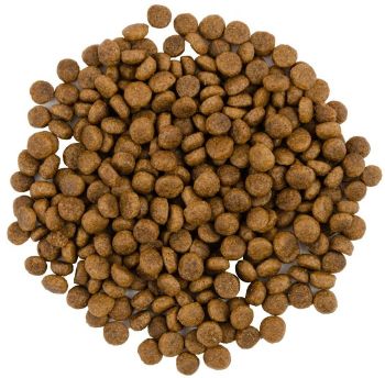 Сухий корм для кішок Savory зі свіжим м'ясом індички та качкою 8 кг (4820232630068) | Фото 4