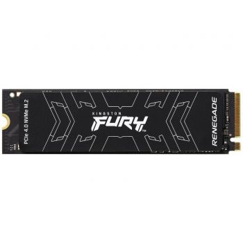KINGSTON SFYRD/4000G | Фото 1