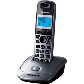 DECT PANASONIC KX-TG2511UAM Metallic | Фото 1