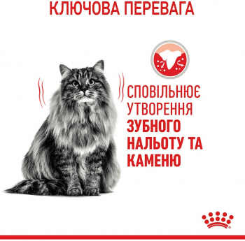 Сухий корм для котів Royal Canin Dental Care для зменшення утворення зубного нальоту та каменю 1.5кг | Фото 8